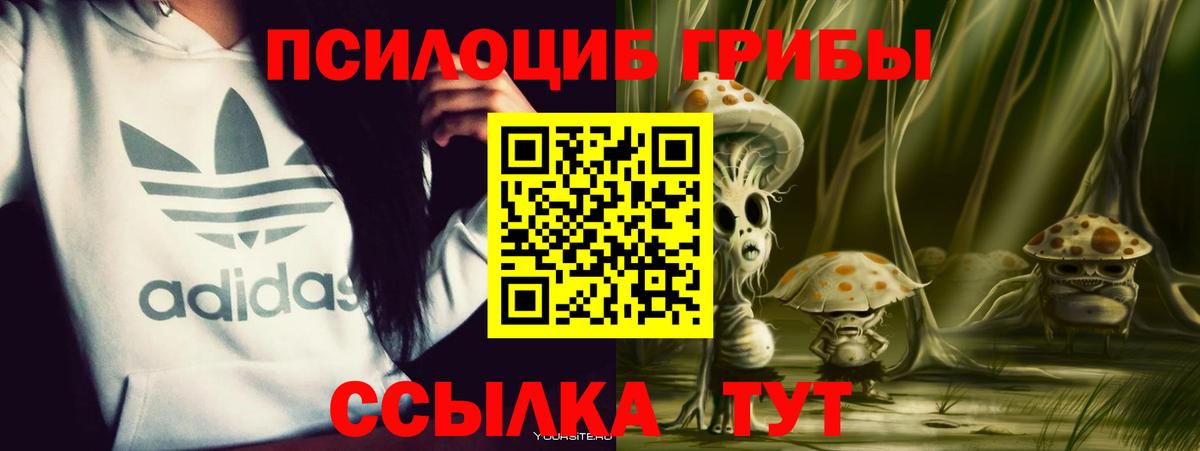 Клинцы  где купить наркоту  Вход с VPN  Галлюциногенные грибы мицелий 